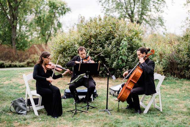 String Trio