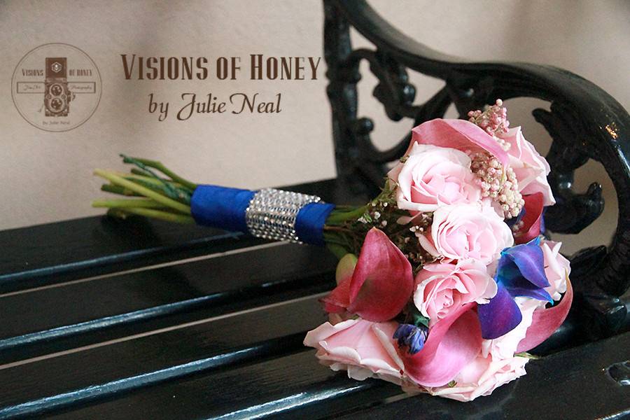 Visions of Honey by Julie Neal