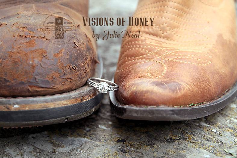 Visions of Honey by Julie Neal