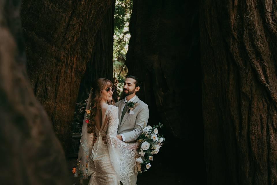 Redwood wedding santa cruz