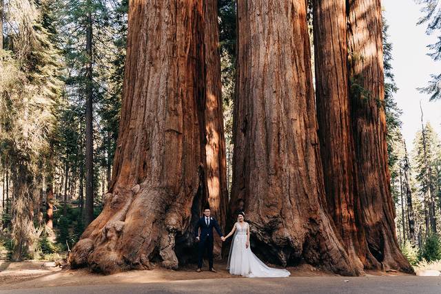 Wedding couple