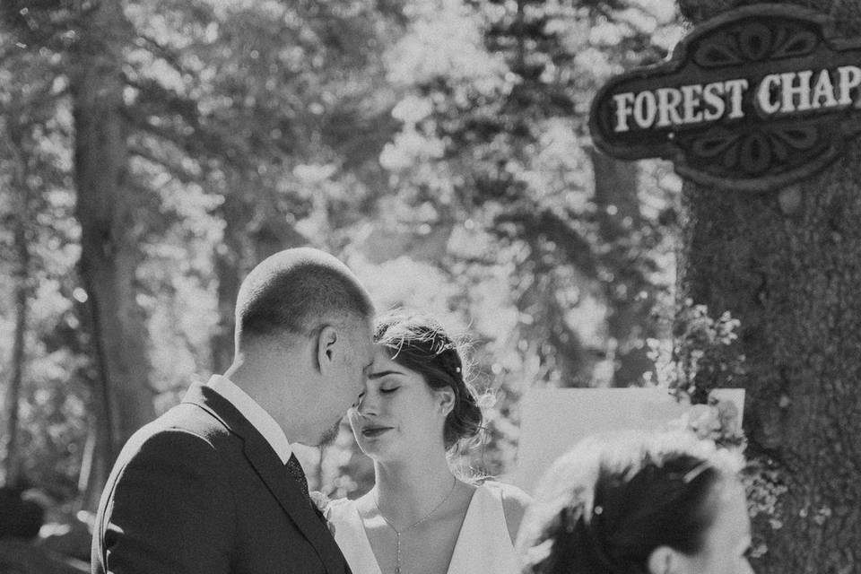 Light on Bride's Dress