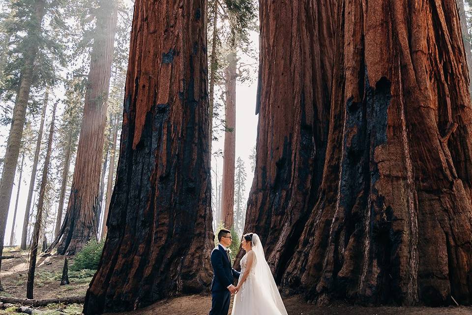 Eloping in Sequoia