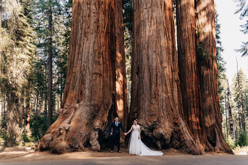 Couple in Sequoia National Par
