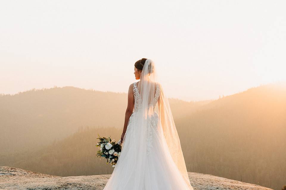 Bride in Sequoia
