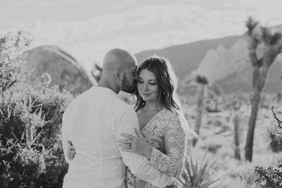 Joshua Tree Engagement Session