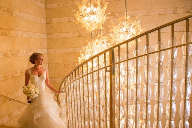 Renee Michele Photography