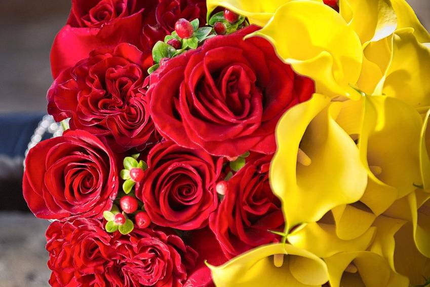 Red and yellow roses