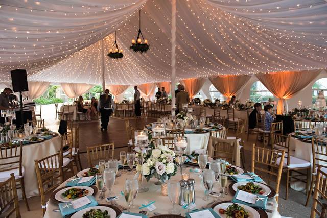 Reception tent setup and lights