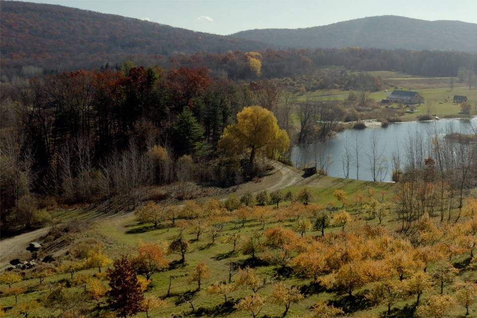 Apple Orchard Views