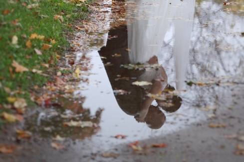 Puddle Photography