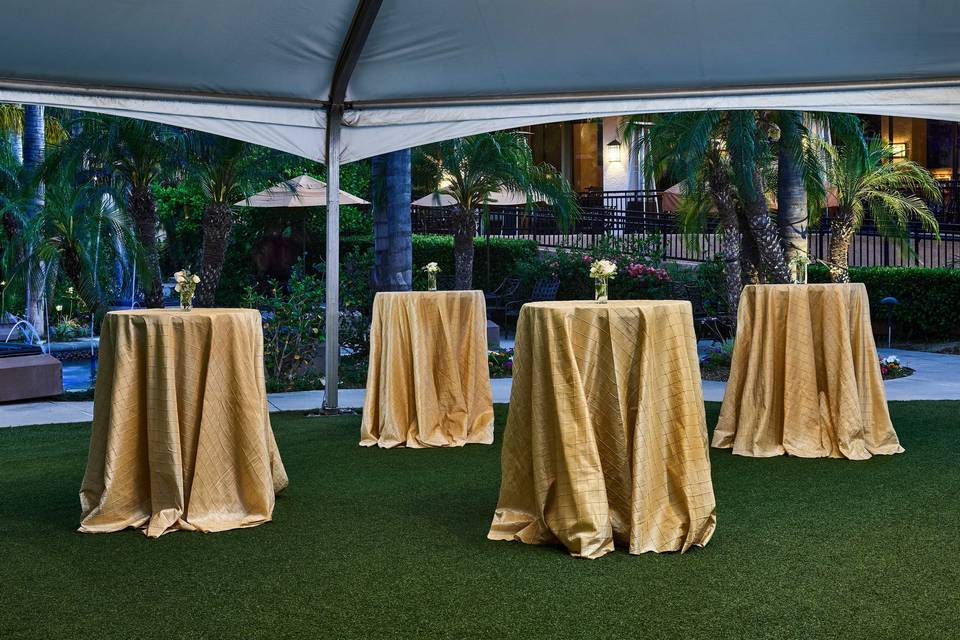 Courtyard Cocktail Reception