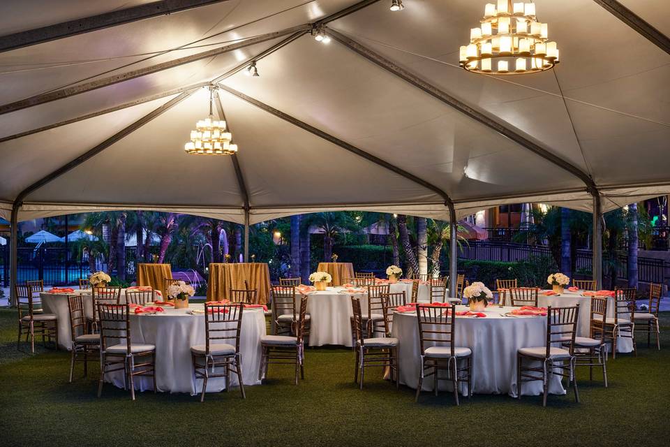 Courtyard Dinner Reception