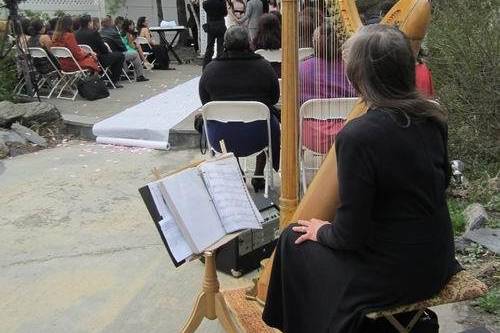 Margaret Sanzo Sneddon, Harpist