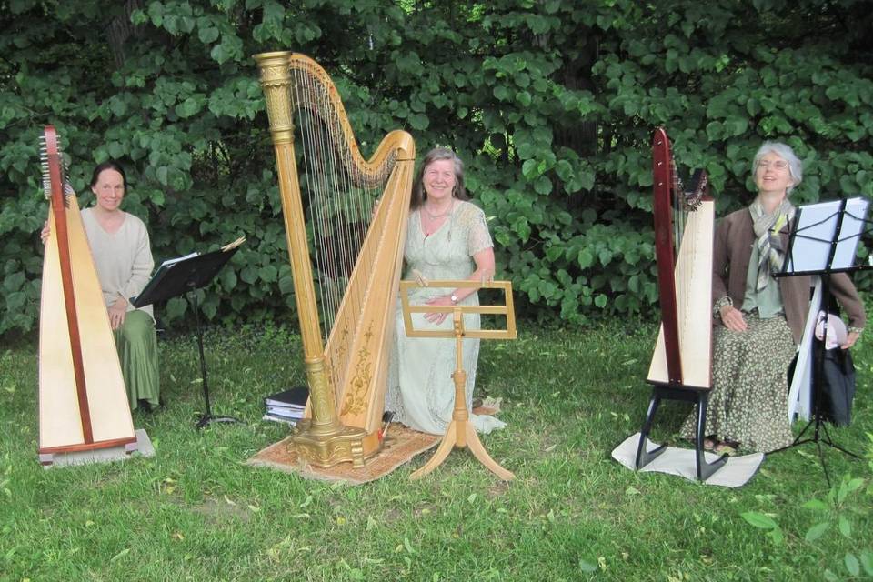 Margaret Sanzo Sneddon, Harpist