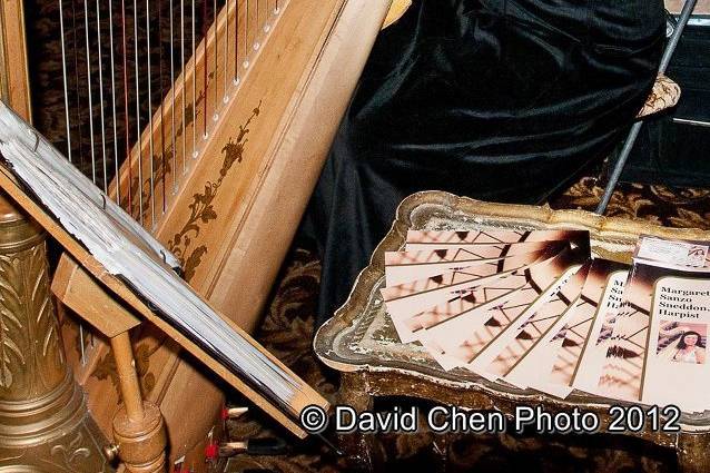 Margaret Sanzo Sneddon, Harpist