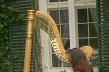 Margaret Sanzo Sneddon, Harpist