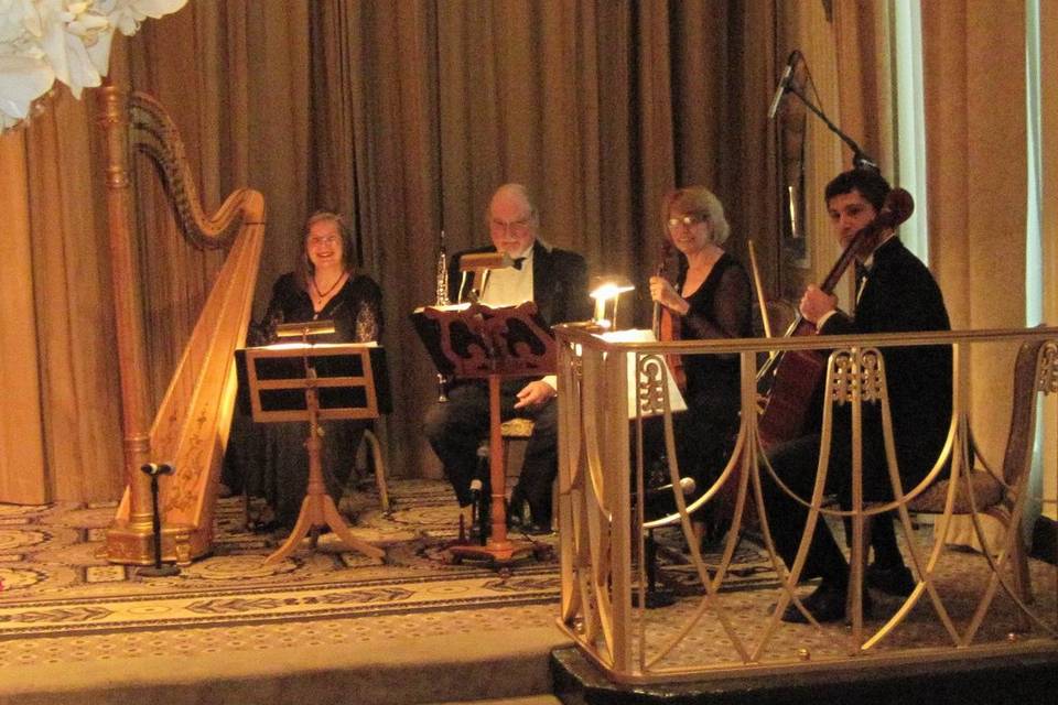 Margaret Sanzo Sneddon, Harpist