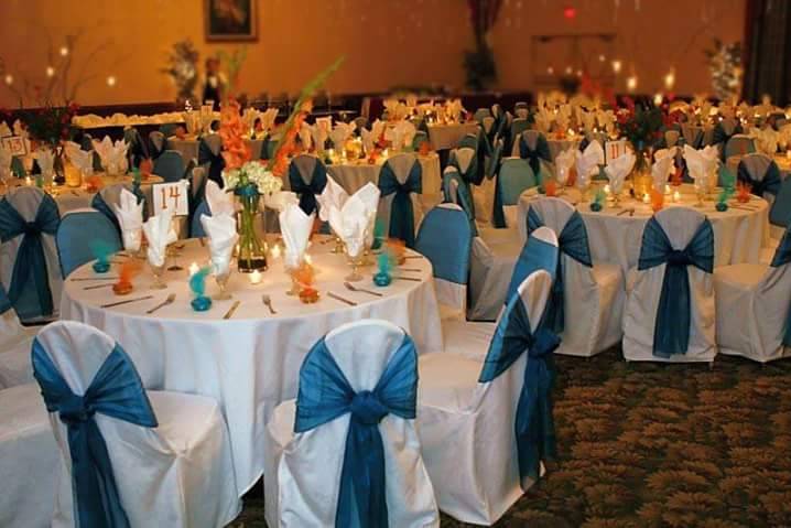 Blue chair bows