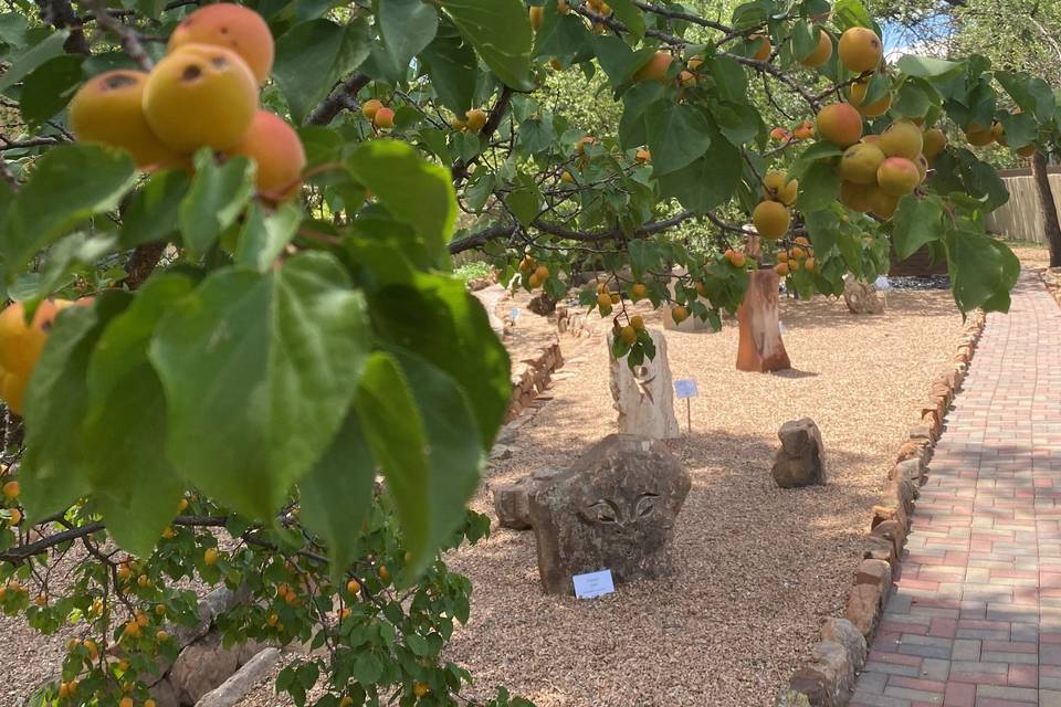 Ahmyo Wine Garden