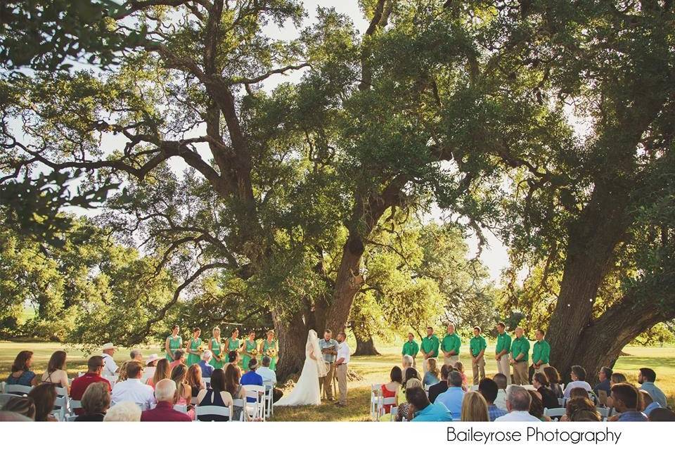 Outdoor wedding ceremony