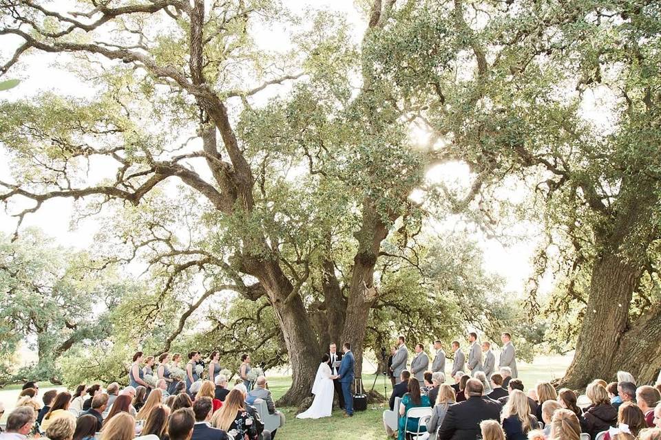 Wedding ceremony