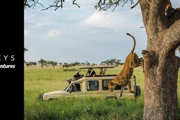 Bliss Drift Travel LLC