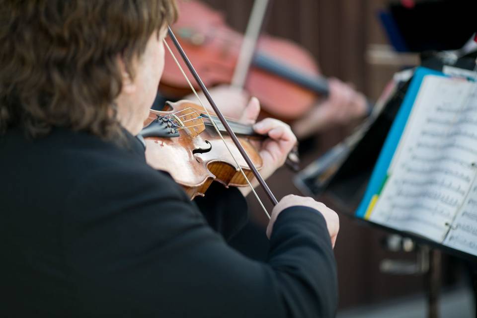 Bellagala Live Musicians
