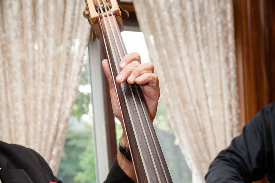 Bellagala Live Musicians