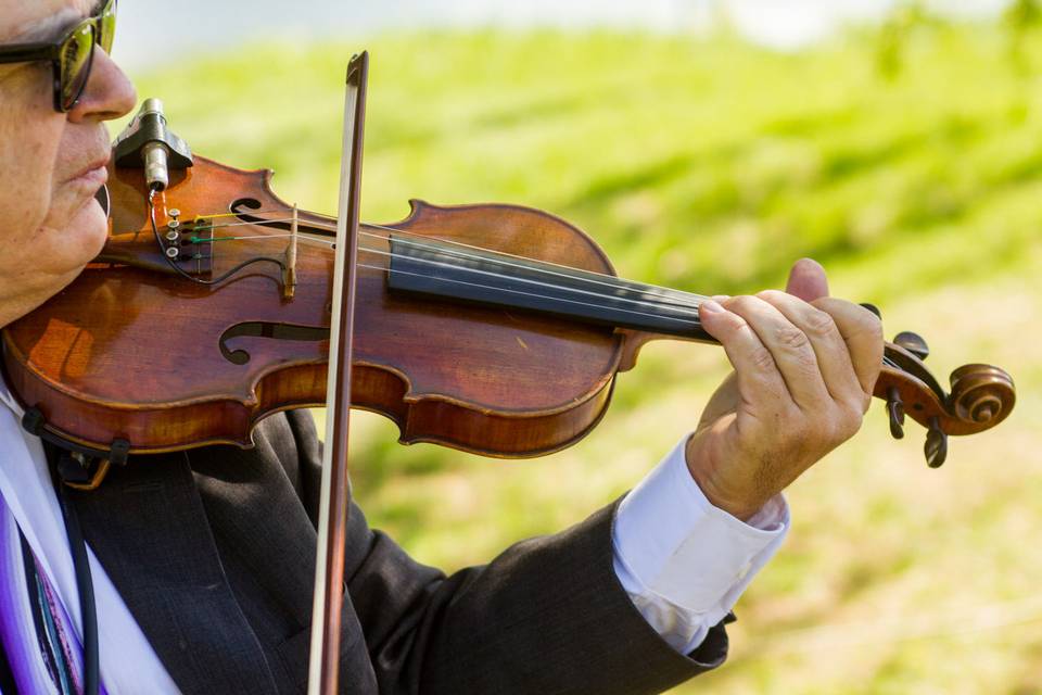 Bellagala Live Musicians