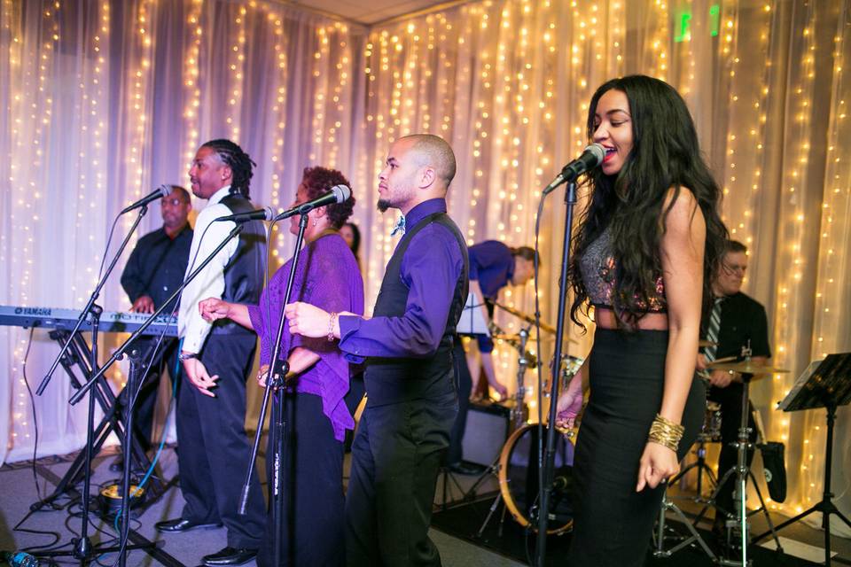 Bellagala Live Musicians