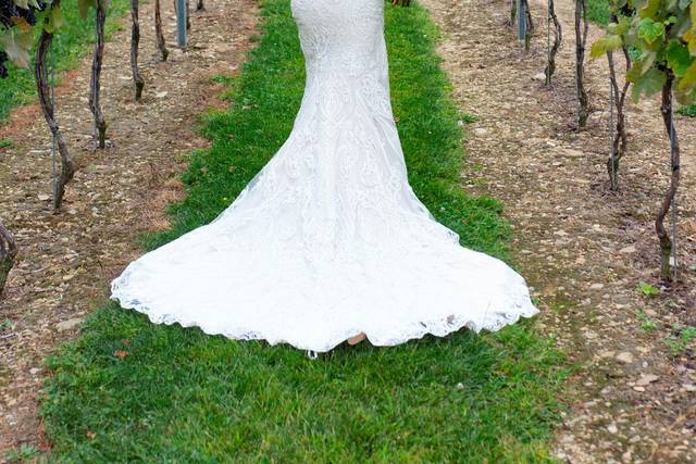 In the vineyard