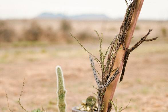 Outdoor wedding altar detail