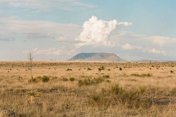 Marfa Landscape