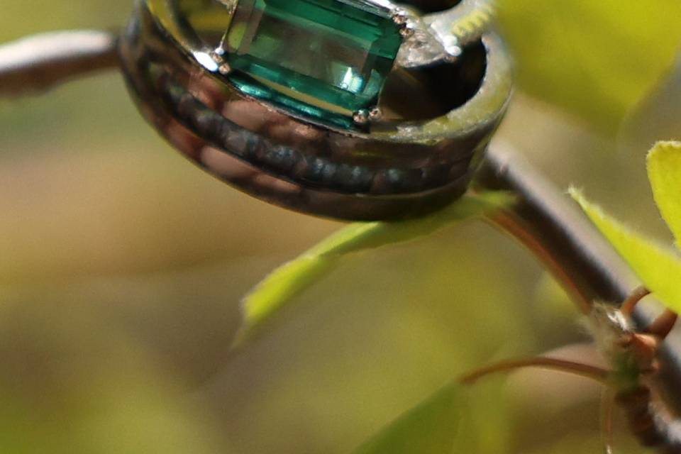 S&T Wedding