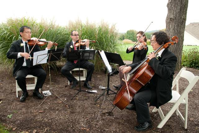 String Celebrations USA