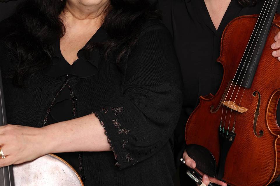Owners & Musicians