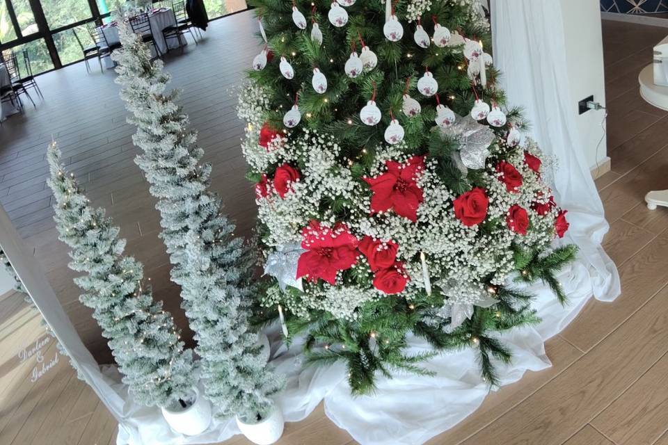 Wedding in hacienda el lago Ca