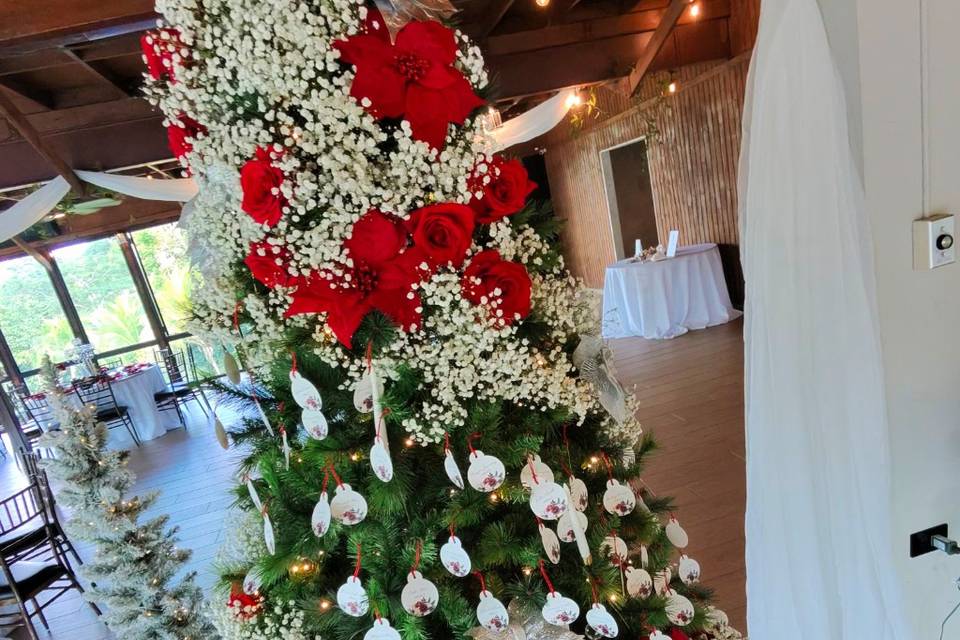 Wedding in hacienda el lago Ca