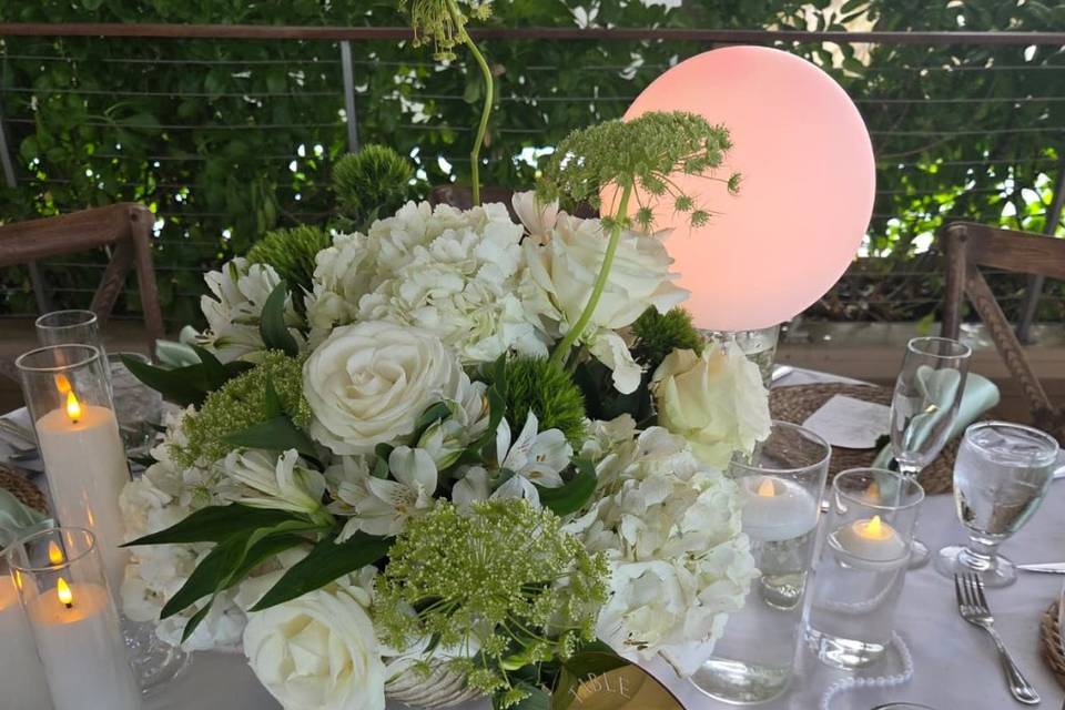 Marriott Courtyard Isla