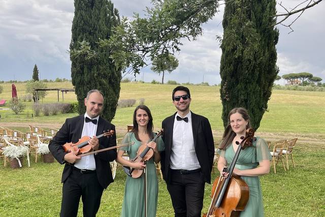 String instruments