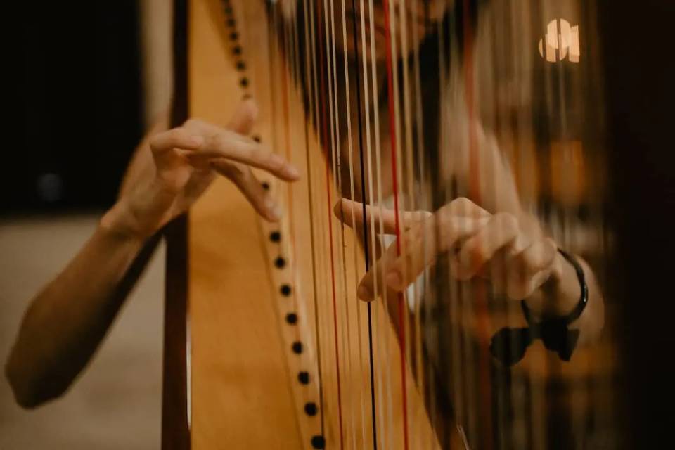 Musica per matrimoni in Italia