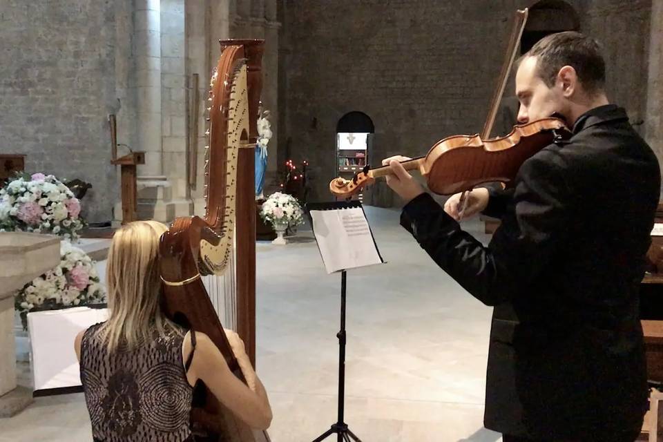 Violino e arpa
