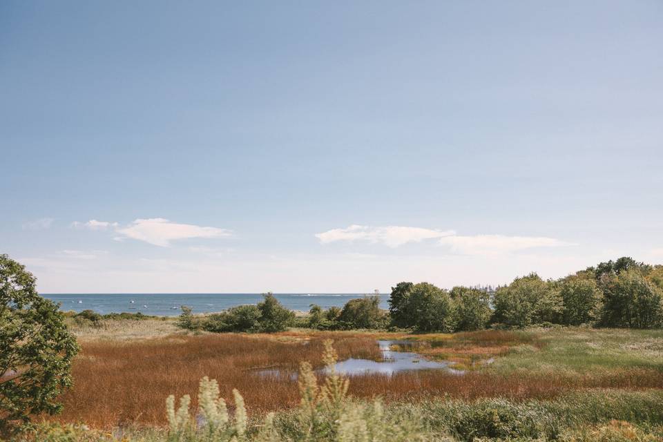 Nature Preserve -Carney Abbott