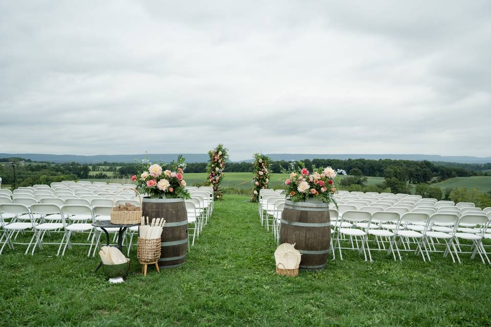 Top of the Hill