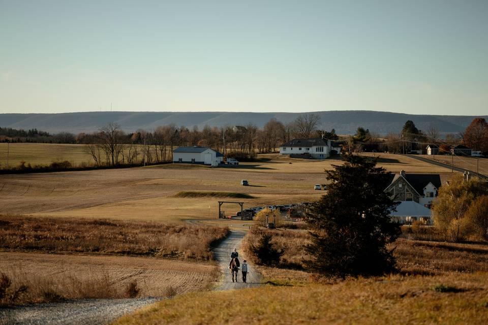 Top of the Hill