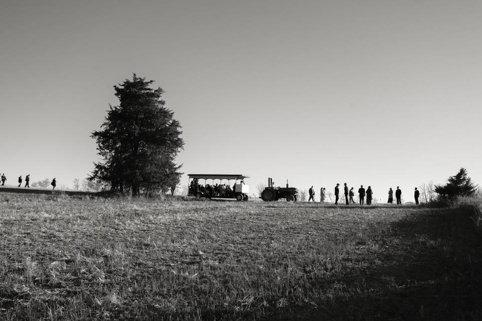 Top of the Hill