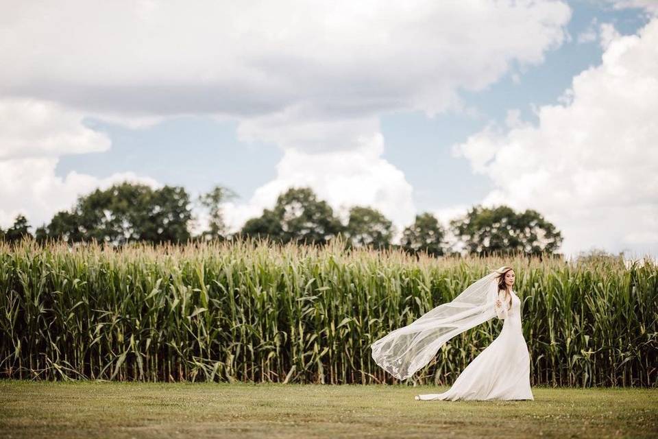 Bride by corn in fall months!