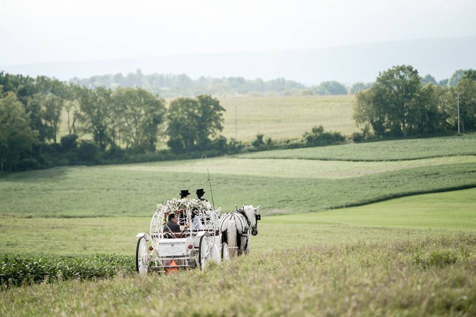 Horse Carriage Ride