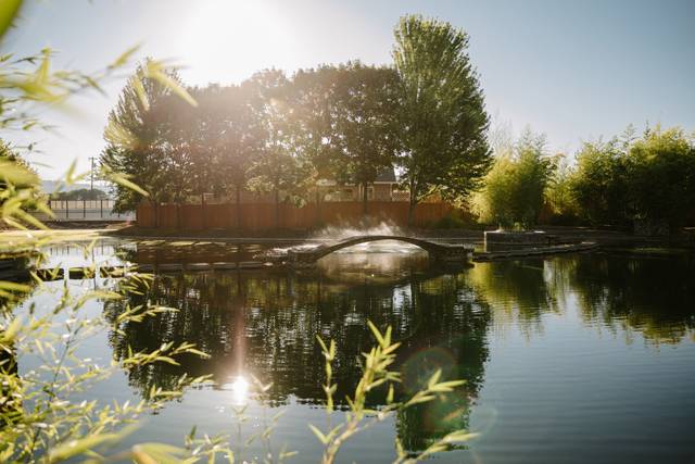 The Water Oasis